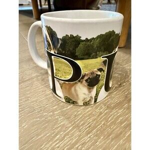 Americaware 16 oz Pug Dog Lover Large Coffee Mug 2014 Gift Idea Collectors